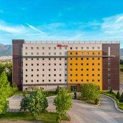 Ibis Bursa