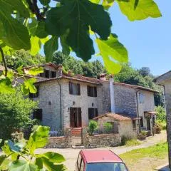 Cara House Tuscany - Zona Lucca