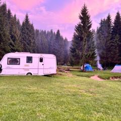 Apusenia Caravan Escape Padiș - Glăvoi