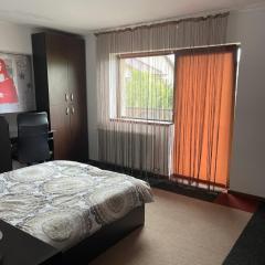 Vila cu trandafiri - Cozy Apartments Studio cu pat matrimonial