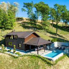 Amazing Home In Gornja Pacetina With Sauna, Wifi And Outdoor Swimming Pool