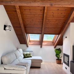 BPIRINEOS-Pico Cerler