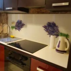 Studio apartment Jelinek