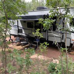 Unique forest adventure 10 Glamper