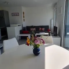 Appartement devant la plage avec piscine