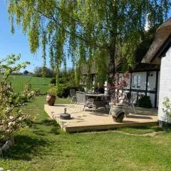 Svalebølle Bed & Breakfast