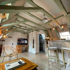 Charmant studio centre historique