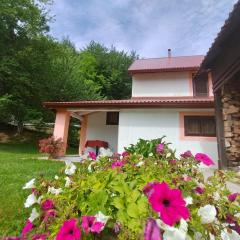 Holiday House Trnovac