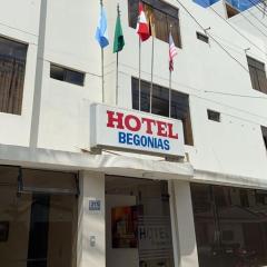 Hotel Begonias