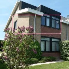 Dolfijn, Wijk de Brabander 92