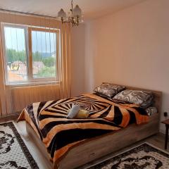 Lovely 1 bedroom apartment in Miercurea Ciuc
