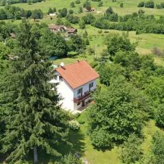 Apartment and Rooms Ivancica