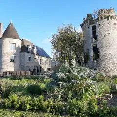 Château médiéval avec piscine privée et jardin, animaux acceptés - FR-1-381-410