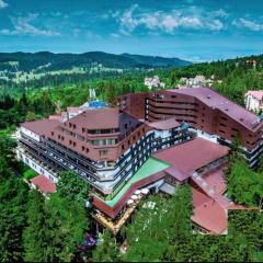 Alpin Resort Hotel - Apartamentele 2403-2404- proprietate administrata de gazda privata