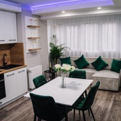 Scandinavian Lux Apartment Oradea