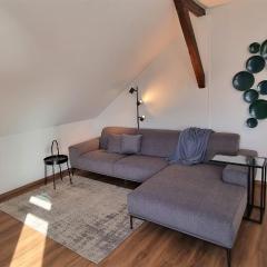 Haus Borkumitte Appartement Mellum
