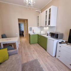 Cosy one seperate bedroom apartment in city center, perfect for family trip.