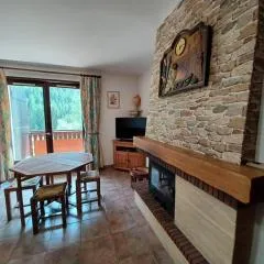 Charmant 2 pièces avec balcon et parking au Col du Corbier - FR-1-573-107