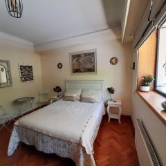 Bed & Breakfast Lastarria