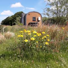 Rowan - Luxury Eco Pod at Trewithen Farm Glamping