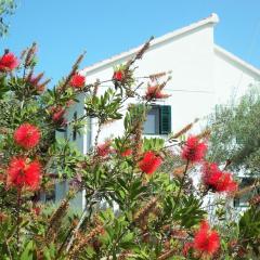 Rustic Holiday Home Miketa