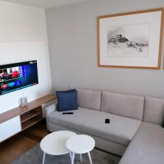 Apartman 305 u Vili Borova