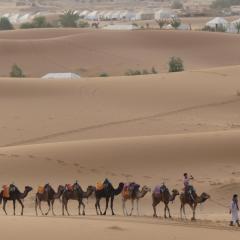 Mardani Camp Merzouga