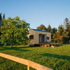 domek Tisá