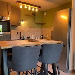 Le Teich, appartement coeur de ville