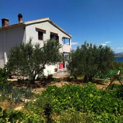 Apartment Prvic Sepurine