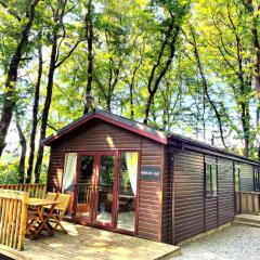 Woodland View -Hot Tub-Tenby-Carmarthen-St Clears