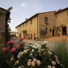 Il Rosolaccio