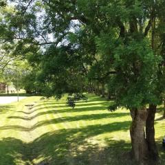 Cute 1-bed cottage with view across park.