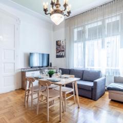 Huge Apartment in the city center
