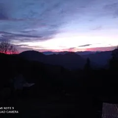 La Mésange Charbonnière