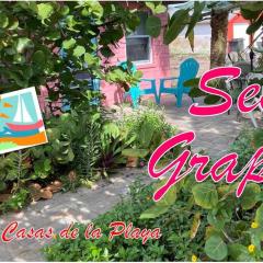 Sea Grape Cottage - At Casas de la Playa Central