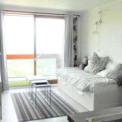 Studio Rénové Ski aux Pieds avec Balcon et WIFI Gratuit - FR-1-267-189