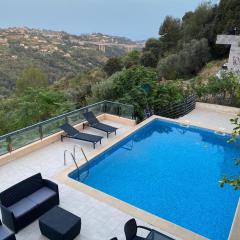 Spacieuse Villa Niçoise au calme avec piscine