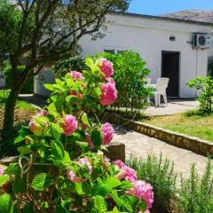 Apartmant Prosika