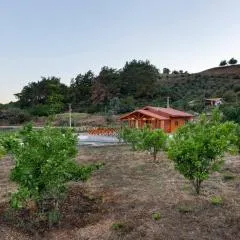 Villa Olymposgarden