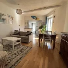 Bel appartement Cannes (plage, palais, shopping, tout à pied)