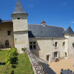 Logis Escale vue Loire, piscine semi-troglodyte