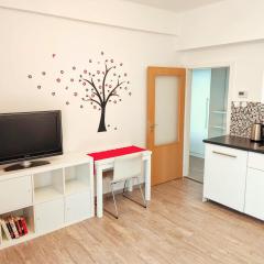 Apartment Žižkov