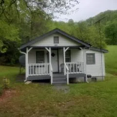 Cute Little Cabin (Near the Nantahala River)