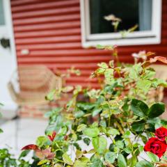 Dat Blockhus am Diek