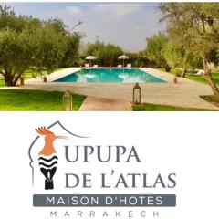 Upupa de l’Atlas