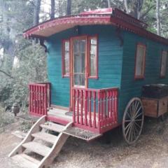 Carreta de cuento de hadas