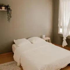 Belle appartement lumineux -Tram au pied de l'immeuble -