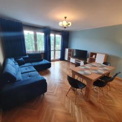 Cozy Sunny Apartment
