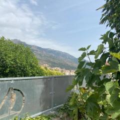 Maison à Corte (Centre Corse) avec piscine et jardin